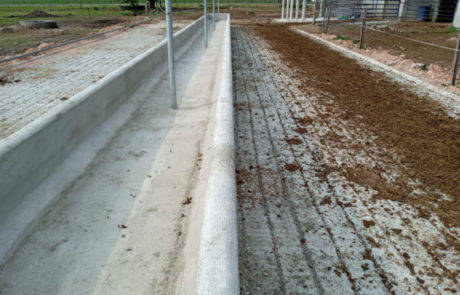 0368b55b54c241dfa63a3b253216558e