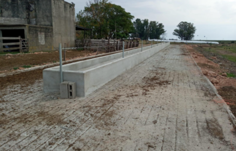 17d100fc9796472900c7324da5275fd2