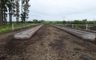 3b5319a6c5eef590077e52d946c8a244