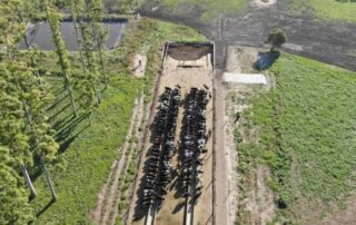 9578cf7e57327b2b9e0b530373dbcb2c