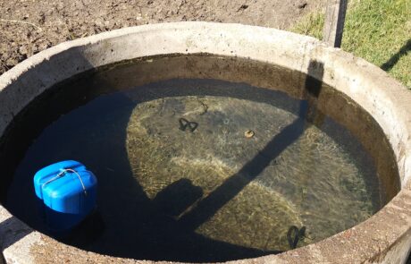 IMG_20191205_084556 (1)