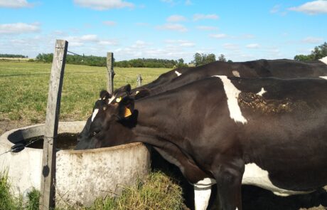 IMG_20191205_084821 (1)